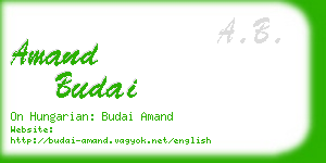 amand budai business card